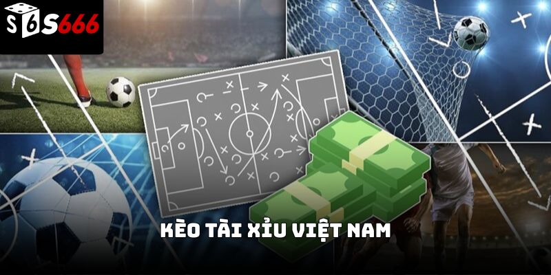 Kèo tài xỉu Việt Nam s666: Hướng dẫn chi tiết từ cơ bản 
